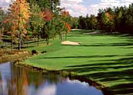 Michigan Golf Outing Garland